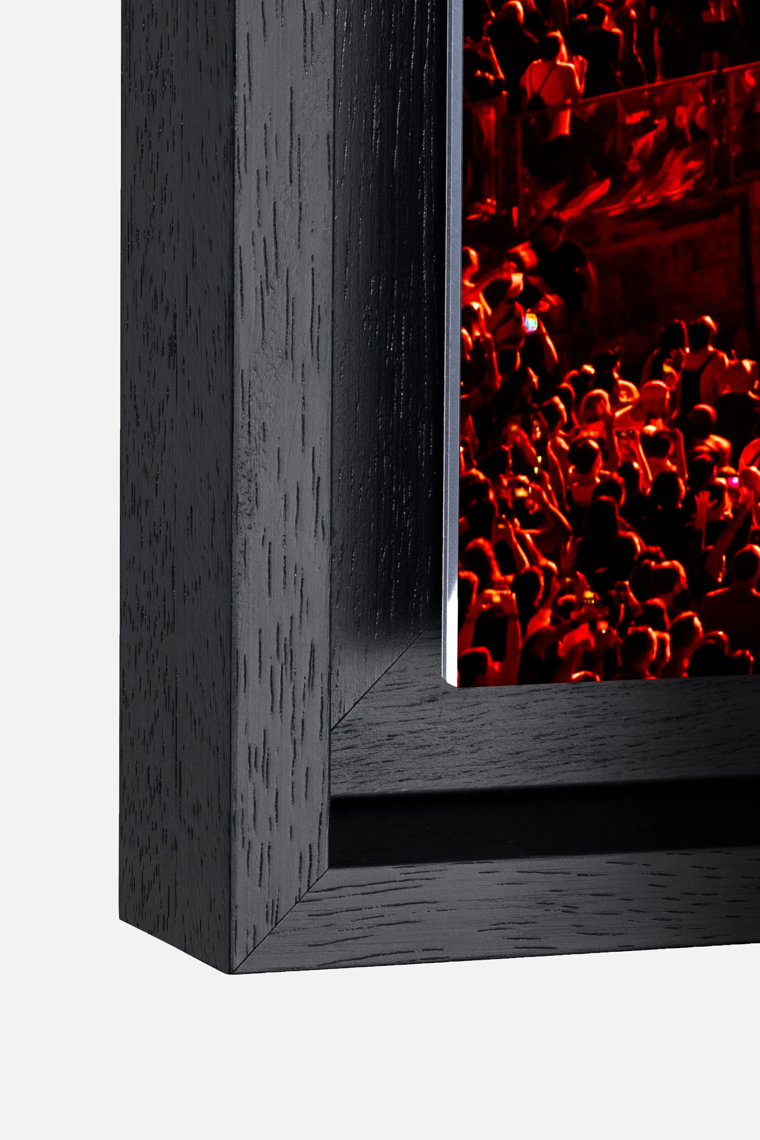 Mainstage 2025 - By Night - Image 5