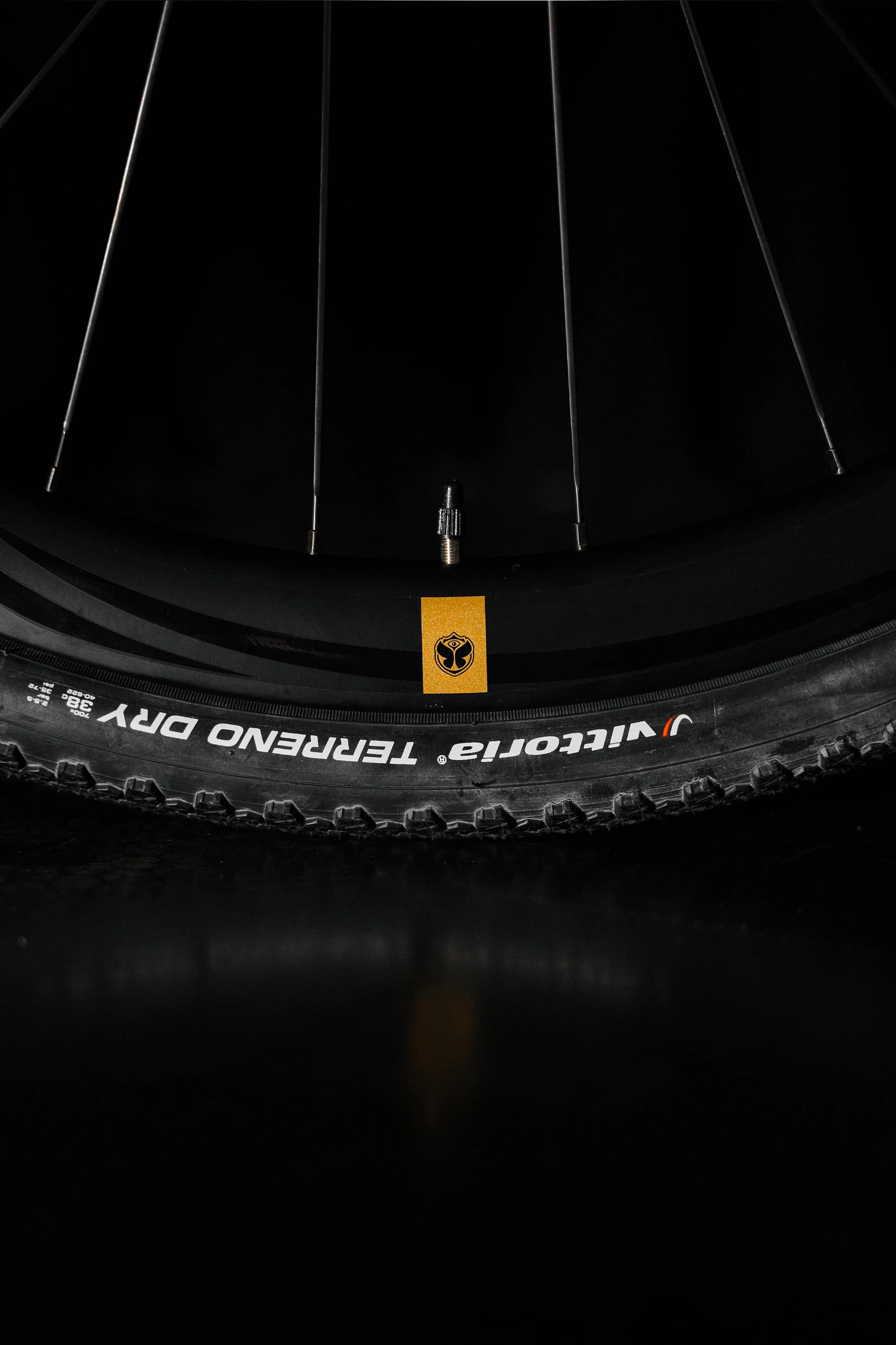 TML X Ridley Invenio Gravel Carbon - Image 10