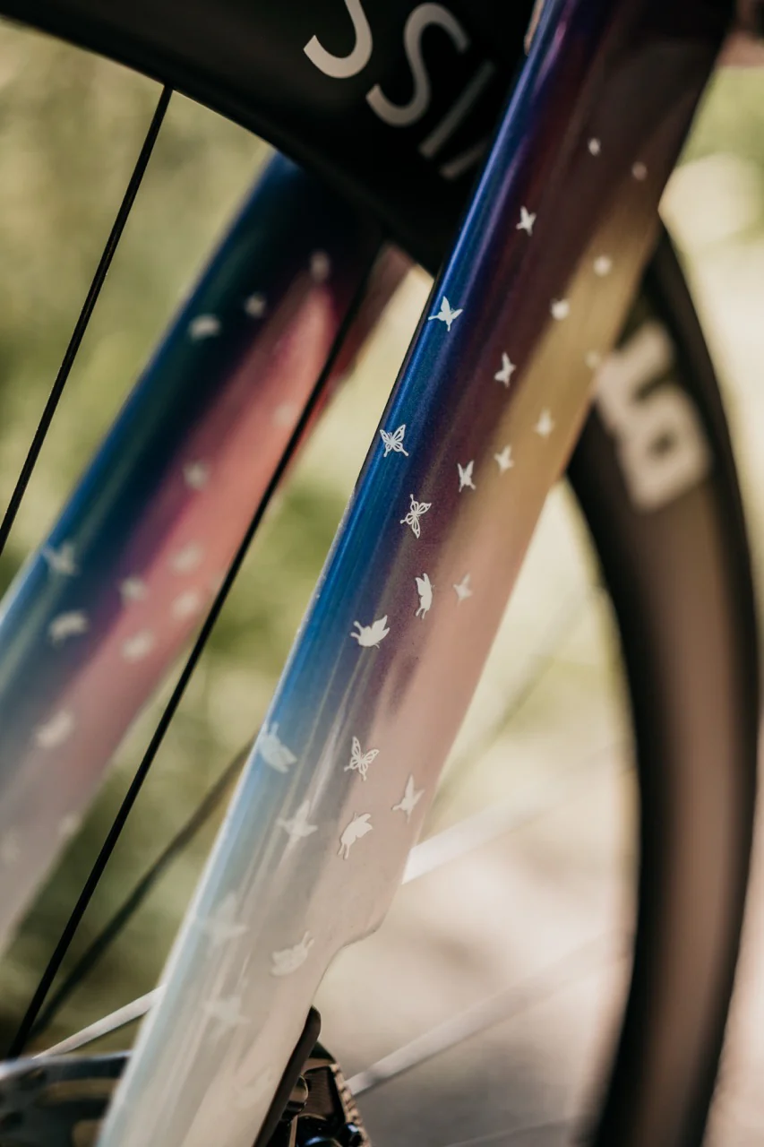 TML X Ridley Noah - Image 4